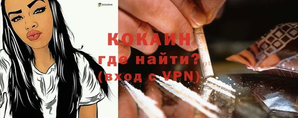 шишки Абдулино