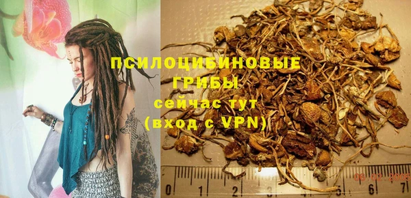ешки Абаза