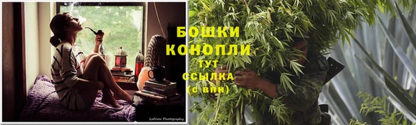 spice Покачи